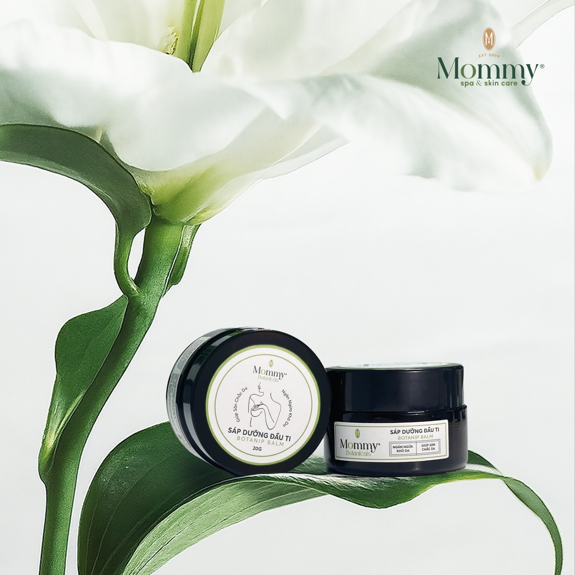 Sáp Dưỡng Đầu Ti Tin Dùng Tại 22 Bệnh Viện: Botanip Balm Có Gì Khác Biệt?